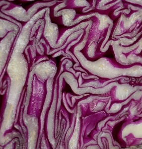viola, bianco, astratto, cavolo, curve, cipolla, ortaggio, radicchio, cipolle